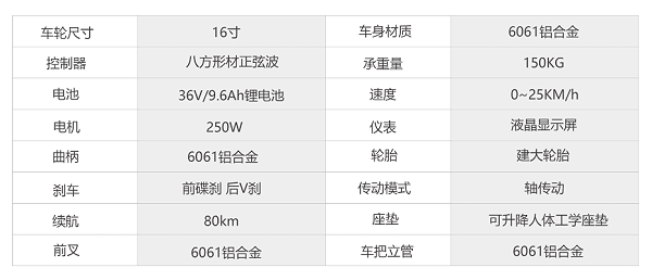 无链条电动自行车参数表格 