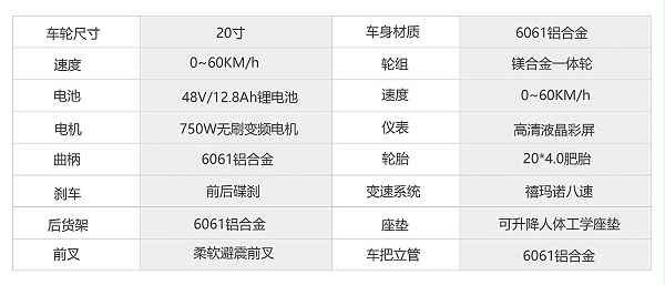 新型电动自行车-技术参数表格 